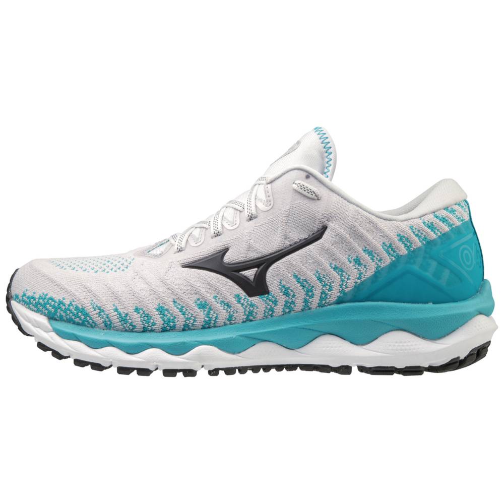 Scarpe Running Mizuno Wave Sky 4 WAVEKNIT™ Donna - Bianche/Blu - 82754-BRFC